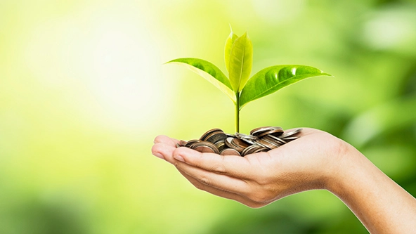 A hand holding coins and a seedling growing out of the coins