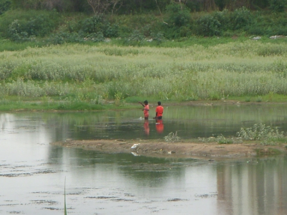 Environment_Bangalore