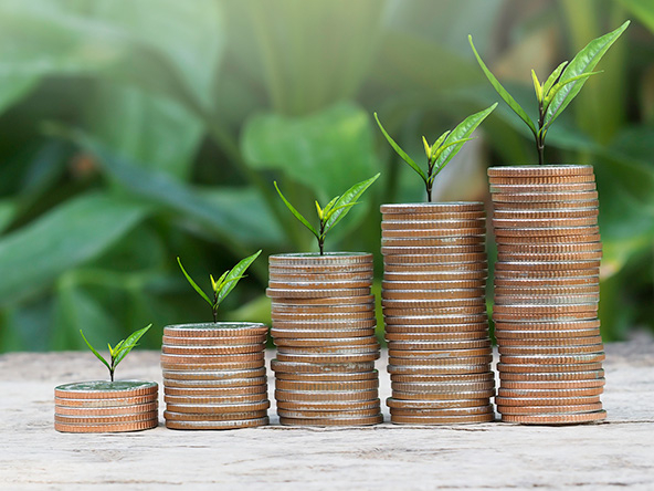 Money coin stack growing with tree