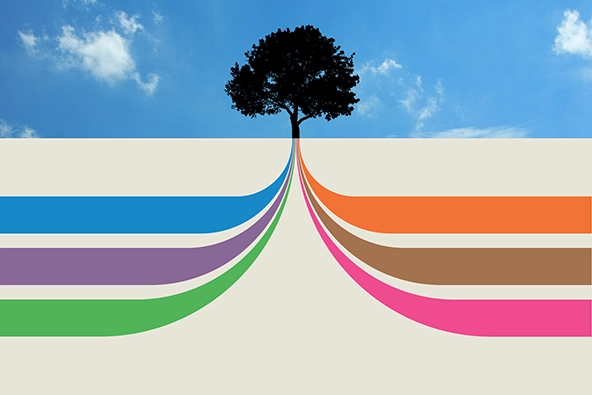 A tree with six rays of color shooting out from its roots into the ground