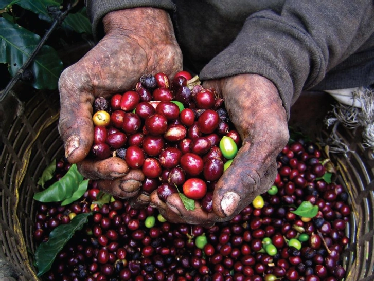 Lucrative but Deadly - Thumbnail