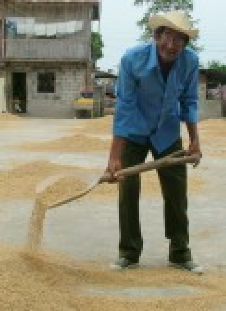 The Profit in Nonprofit - Thumbnail