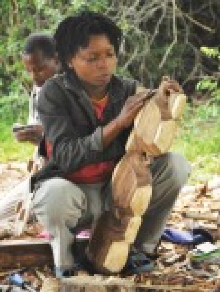 Microfinance’s Next Frontier - Thumbnail