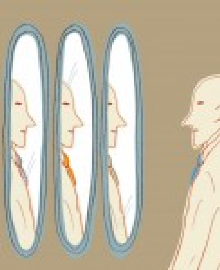 Monk, Architect, Diplomat - Thumbnail