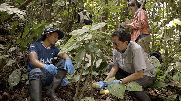 three people in rain forest