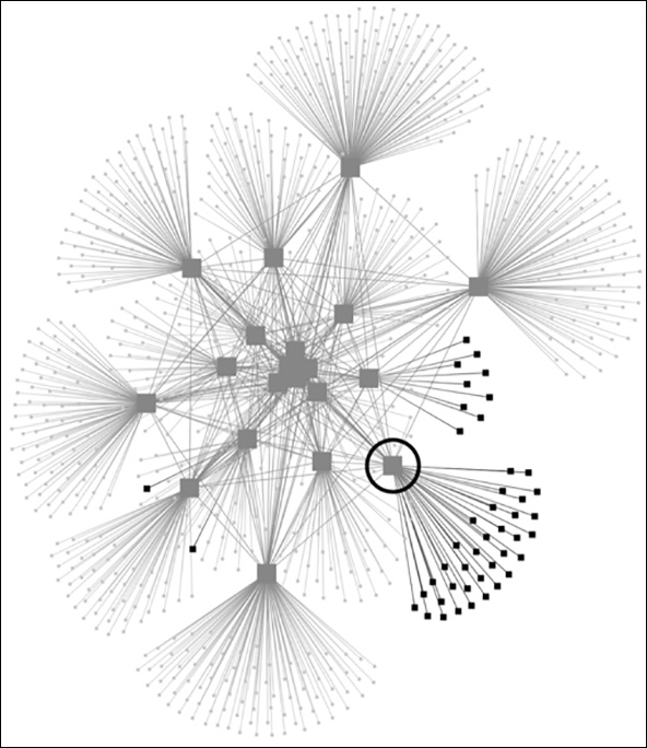 Figure with large and small squares representing school district networks