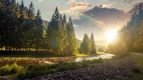 mountain river winding through forest at sunset