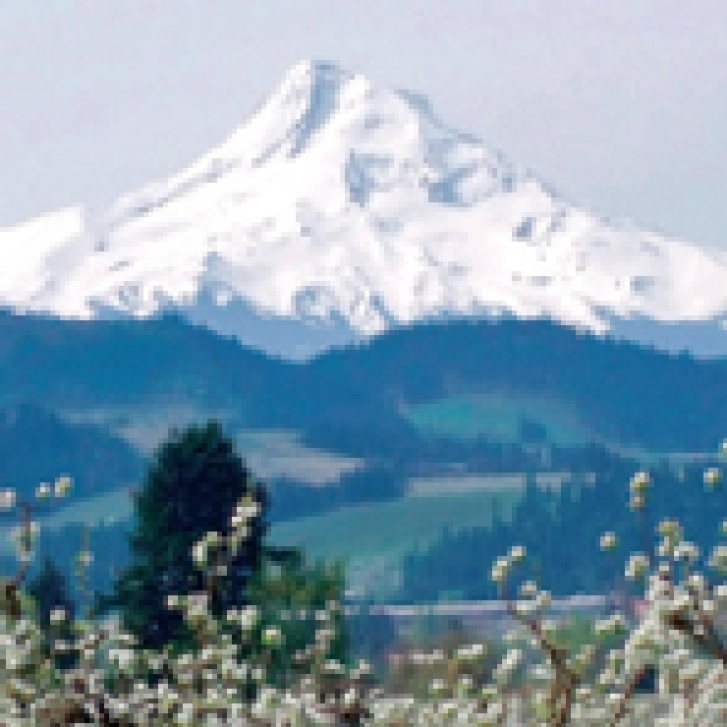 Oregon_land-use_policy_urban_mountain