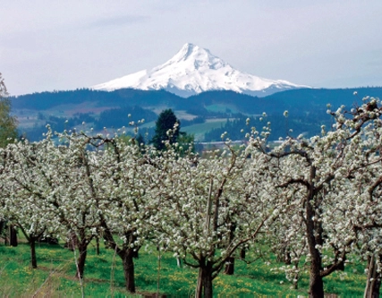 oregon_government_land_use_hood_river_valley