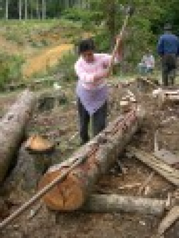 Green Fire - Thumbnail