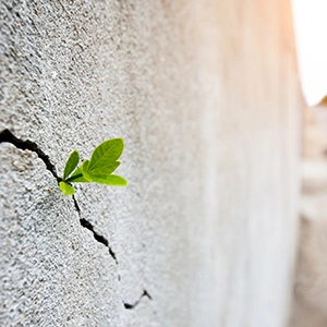 Social Change in an Era of Extreme Polarization