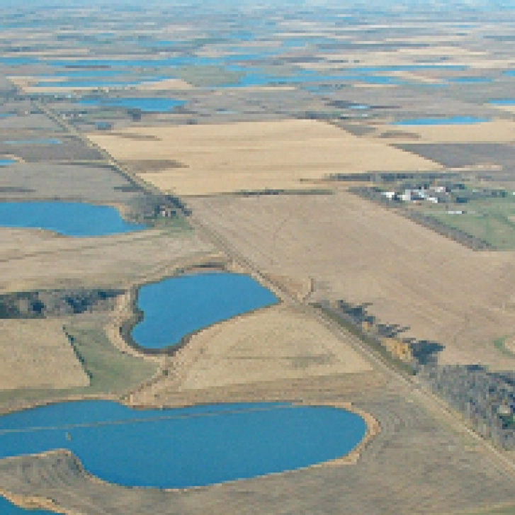 prairie_conservation