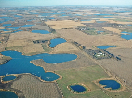 Midwest_environment_habitat