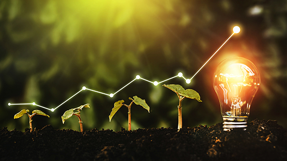 A row of growing seedlings with a lightbulb at the end. A  line graph climbing and growing above them symbolizes accelerating progress.