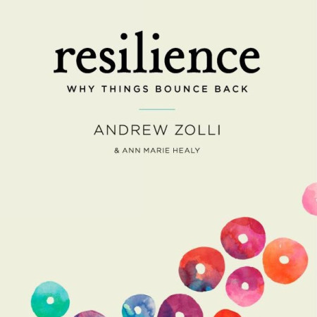 Resilience_Andrew_Zolli_Ann_Marie_Healy