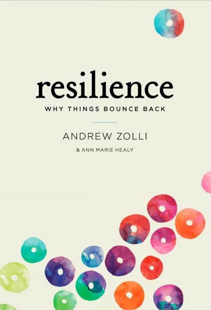 Resilience_Andrew_Zolli_Ann_Marie_Healy