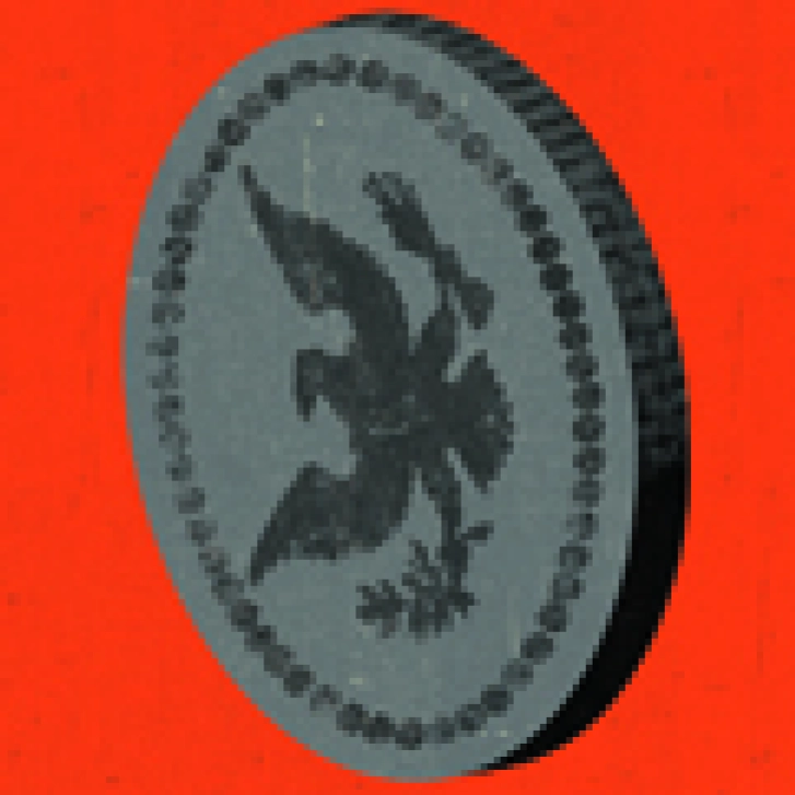 The Rise of Social Capital Market Intermediaries - Thumbnail