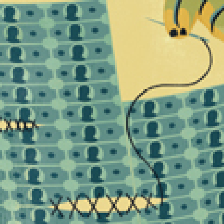 Investing for the Safety Net - Thumbnail