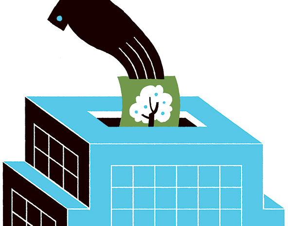 Hand putting a ballot with a tree into a box.