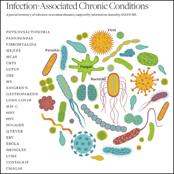 graphic with a list of infection-associated chronic conditions; as discussed in article