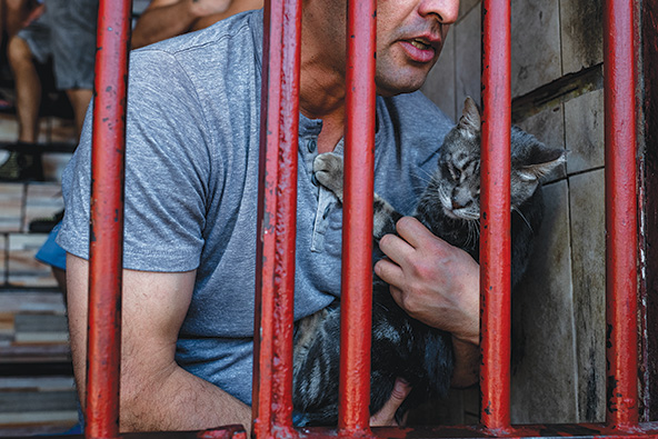 man behind prison bars holding a cat