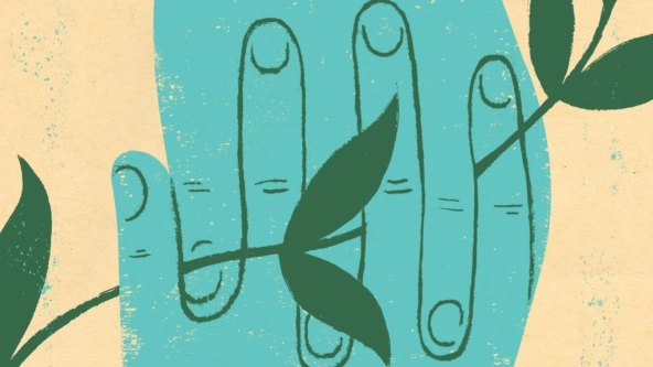 illustration hands leaves