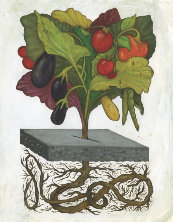 illustration plant roots