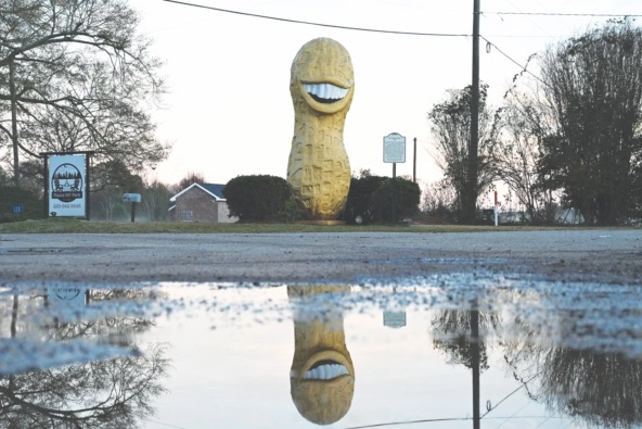 giant statue of peanut honoring President Jimmy Carter