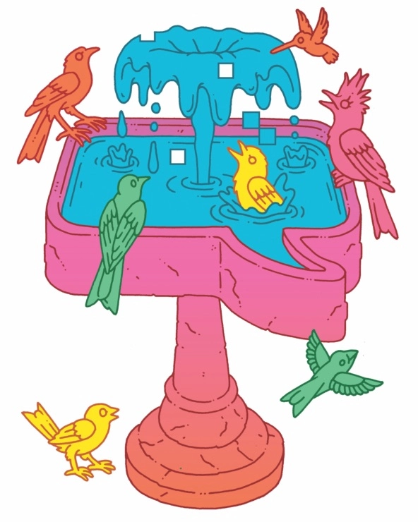 illustration colorful birds and birdbath