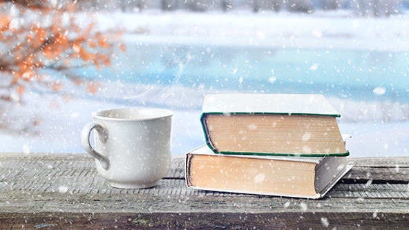 tea cup on a shelf with two books; wintry background