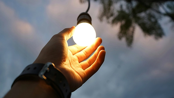 hand holding a light bulb hanging from a tree