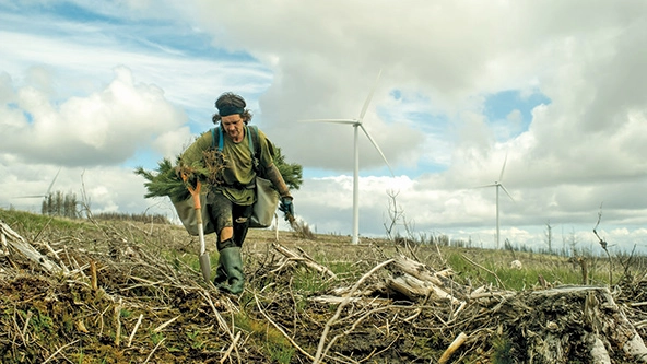 Man walking across a field planting trees.