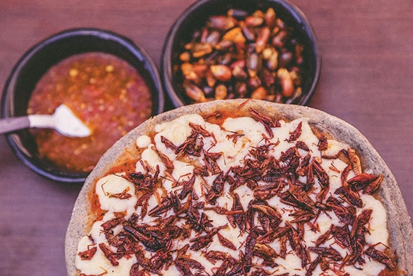 Overhead shot of pizza with Oaxacan cheese and grasshoppers.