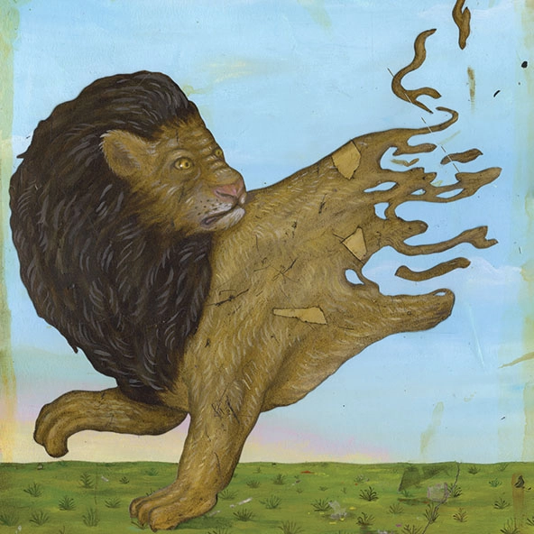 Lion with half body and back legs are disappearing