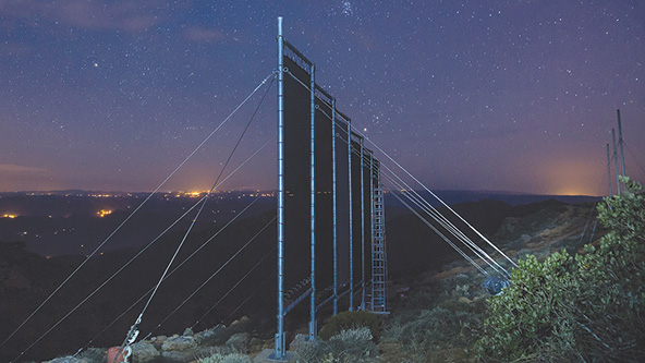 Nets standing on a hill to harvest fog for water