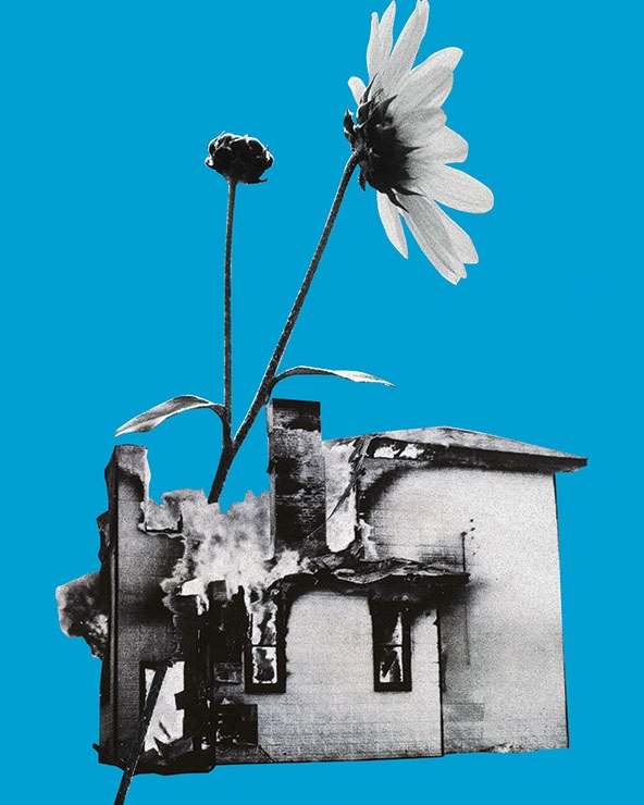 Collage of a cut flower emerging from a partially dilapidated building