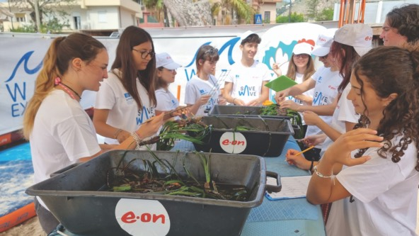 high school students meet outside to work together with plants