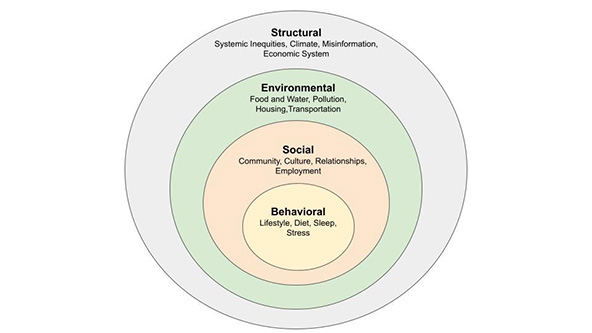 A chart of four concentric circles with text of behavioral, social, environmental, and structural drivers of health