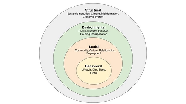 A chart of four concentric circles with text of behavioral, social, environmental, and structural drivers of health