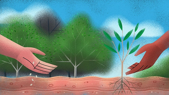 A hand on the left throwing seeds into the ground. A hand on the right gesturing toward a growing seedling.