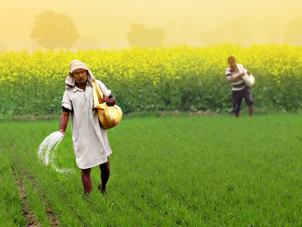 The Business of Climate Justice