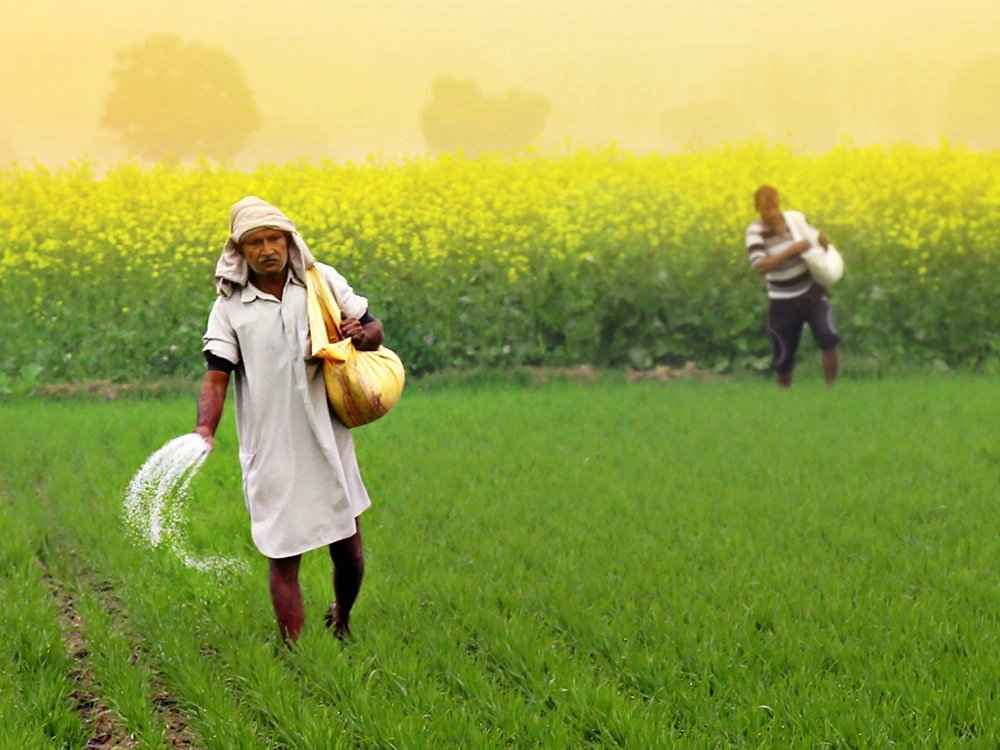 The Business of Climate Justice