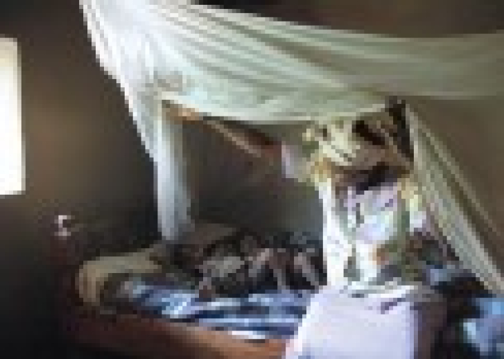 The Value of Free - Thumbnail