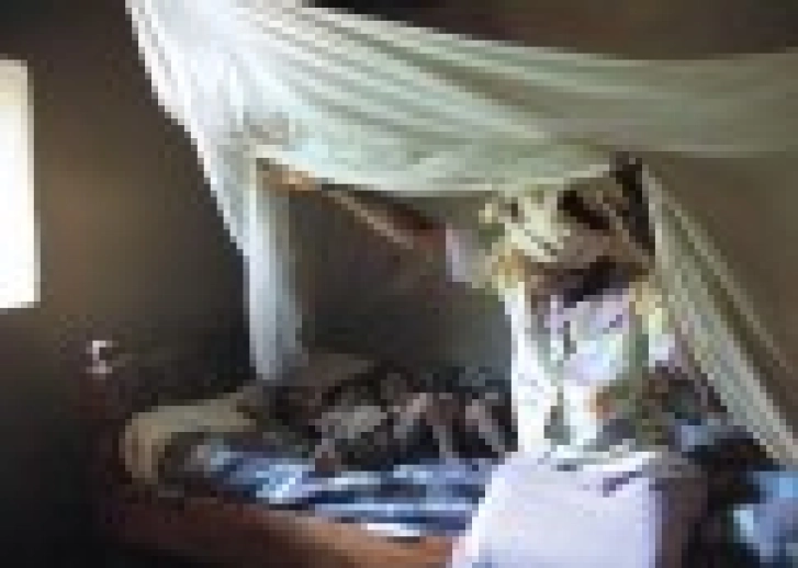 The Value of Free - Thumbnail