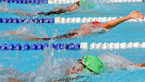 Backstroke swimmers in a close race