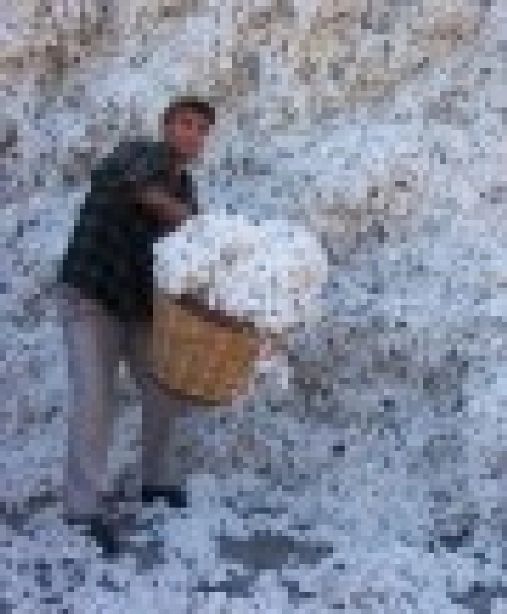 Weaving Businesses Together - Thumbnail