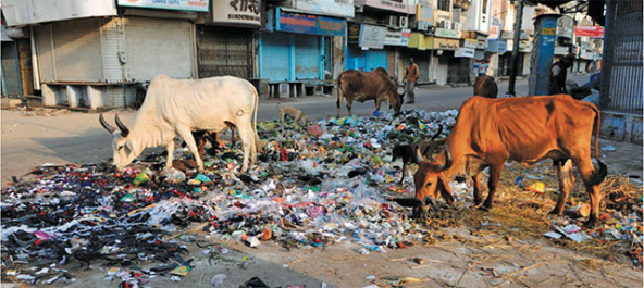 trash_in_india