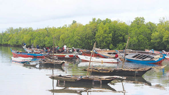 small boats in the water near trees