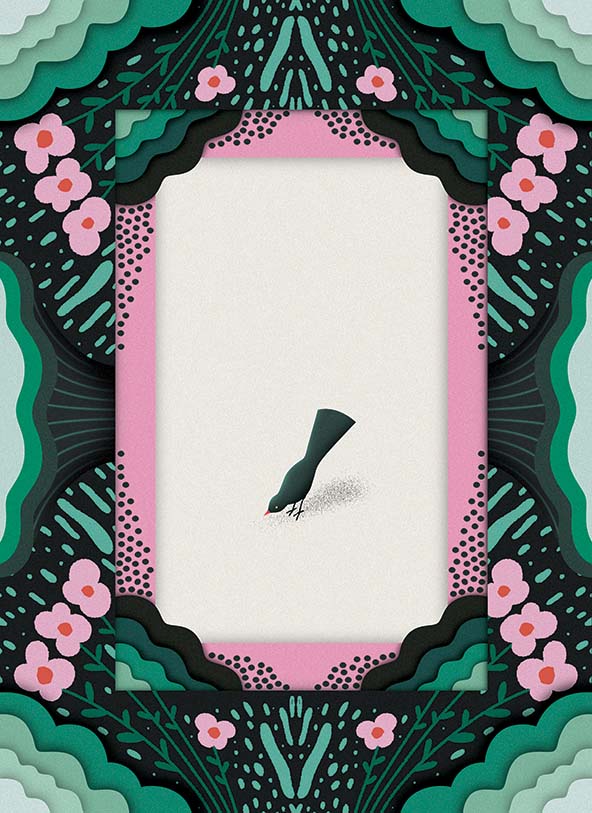 a black bird on the ground