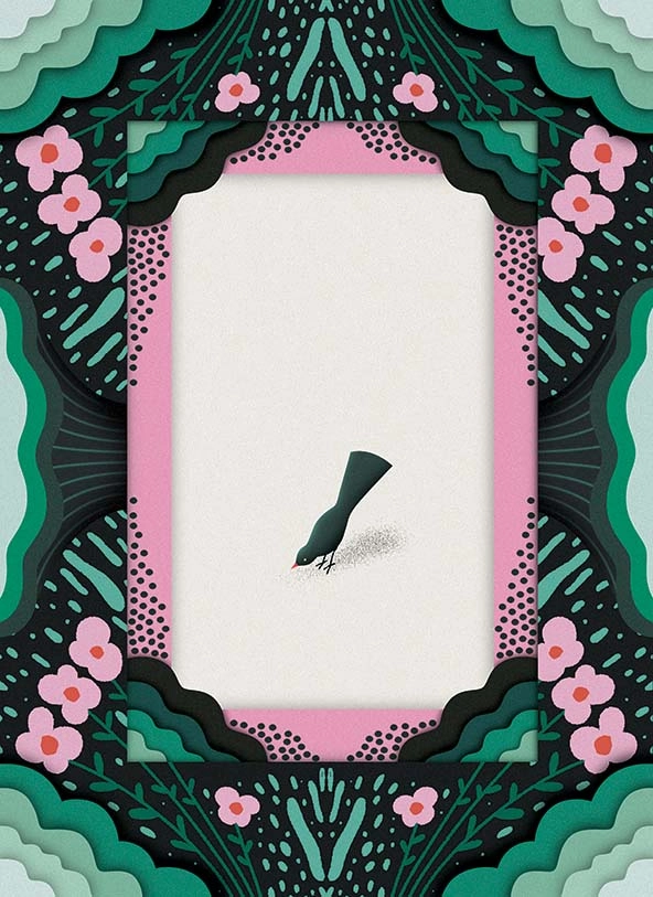 a black bird on the ground